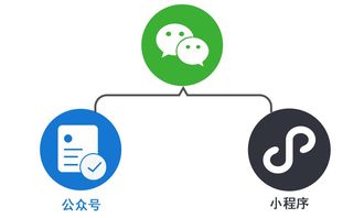 app 公众号 小程序的开发三者有何不同